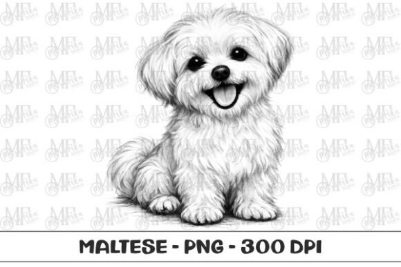 Download Maltese Dog Sketch PNG - Premium Resources
